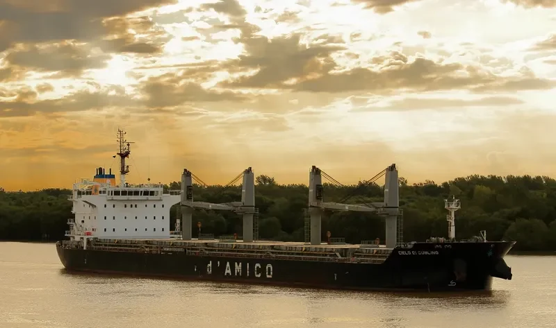 CIELO DI DUBLINO Bulk Carrier IMO 9585651 photo 8