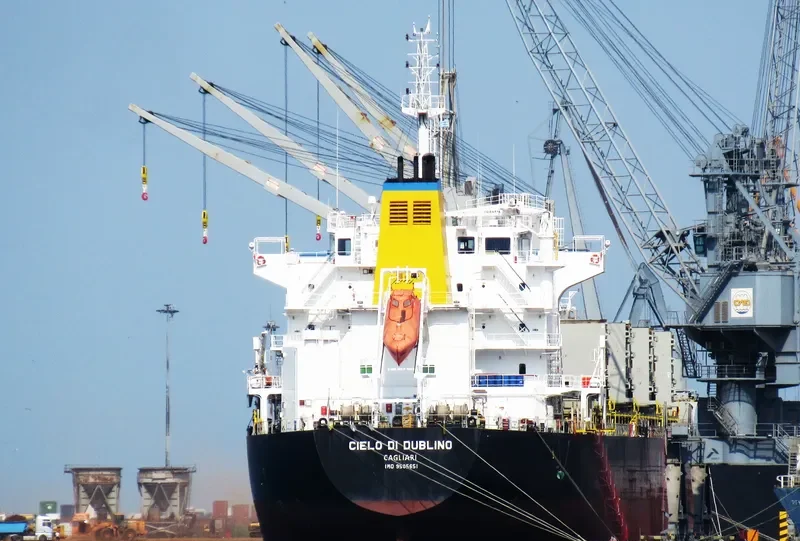 CIELO DI DUBLINO Bulk Carrier IMO 9585651 photo 9