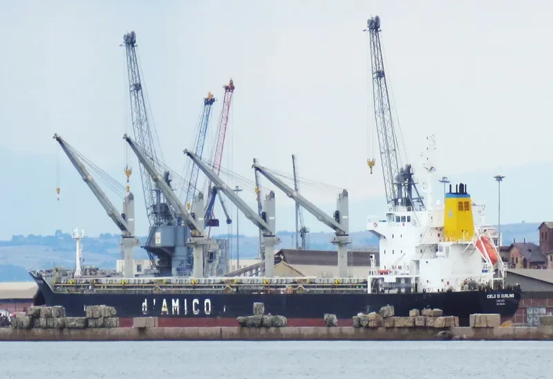 CIELO DI DUBLINO Bulk Carrier IMO 9585651 photo 10