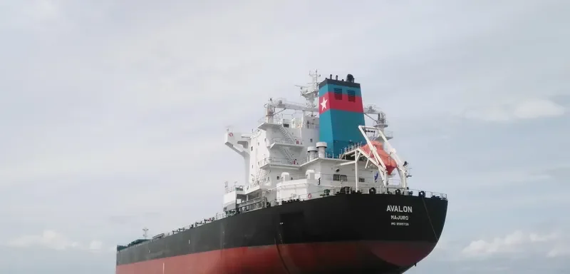 AVALON Bulk Carrier IMO 9585728