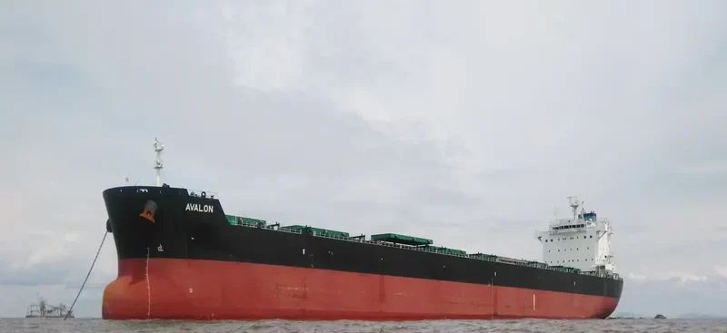 AVALON Bulk Carrier IMO 9585728 photo 2