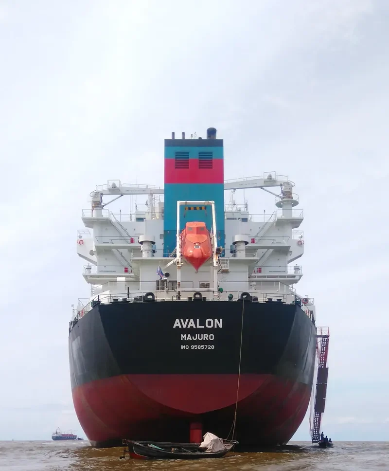 AVALON Bulk Carrier IMO 9585728 photo 3