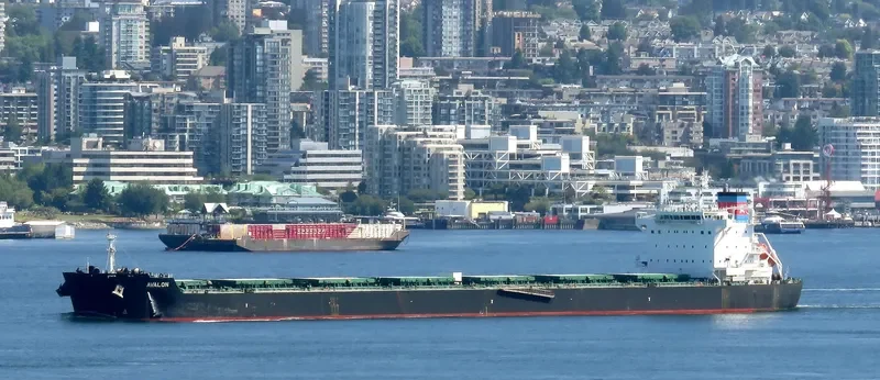 AVALON Bulk Carrier IMO 9585728 photo 4