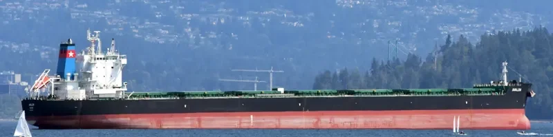 AVALON Bulk Carrier IMO 9585728 photo 5