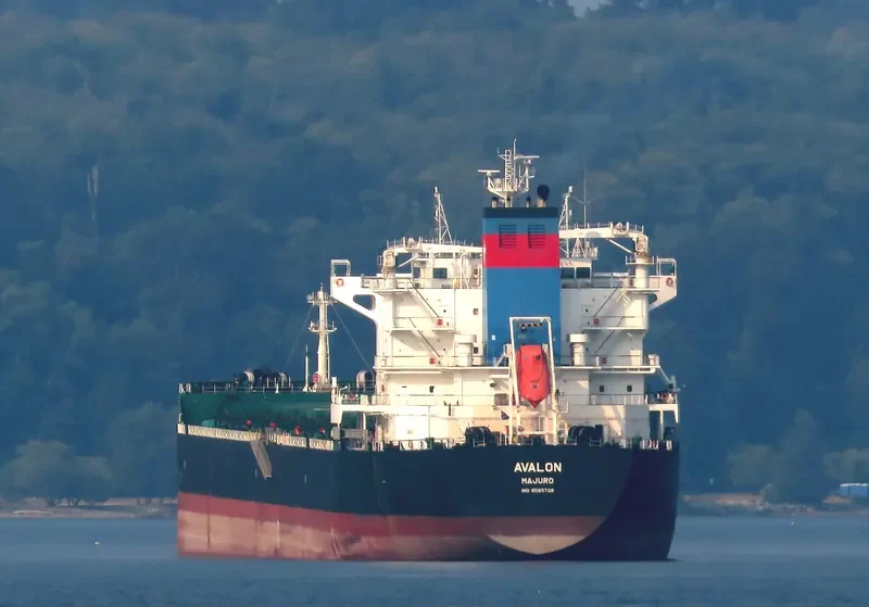 AVALON Bulk Carrier IMO 9585728 photo 6
