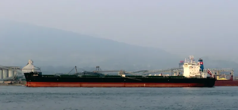AVALON Bulk Carrier IMO 9585728 photo 8