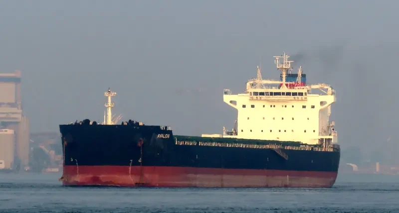 AVALON Bulk Carrier IMO 9585728 photo 9