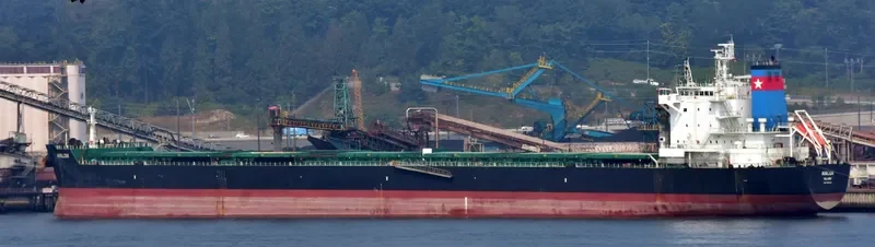 AVALON Bulk Carrier IMO 9585728 photo 10