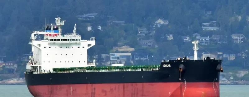 AENEAS Bulk Carrier IMO 9585730 photo 7