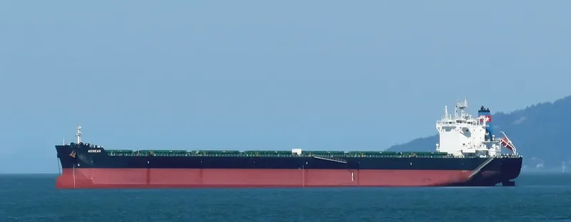 AENEAS Bulk Carrier IMO 9585730 photo 9