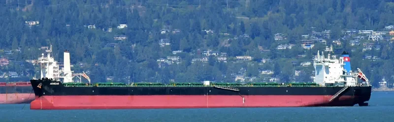 AENEAS Bulk Carrier IMO 9585730 photo 10