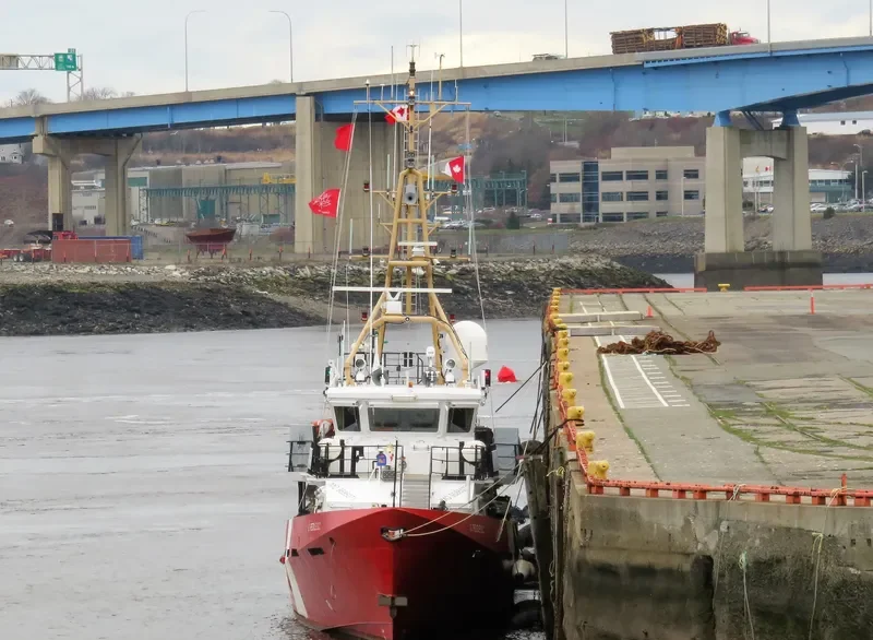 G. PEDDLE S.C General Cargo IMO 9586071