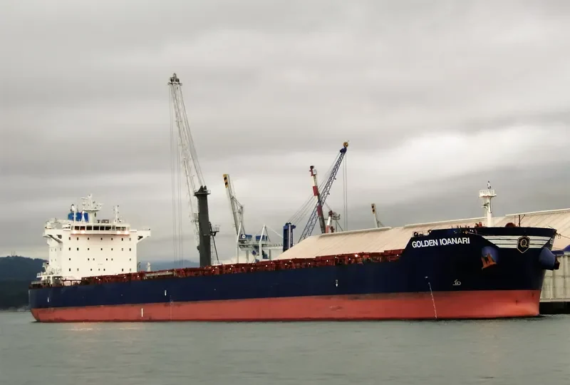 GOLDEN IOANARI Bulk Carrier IMO 9586344