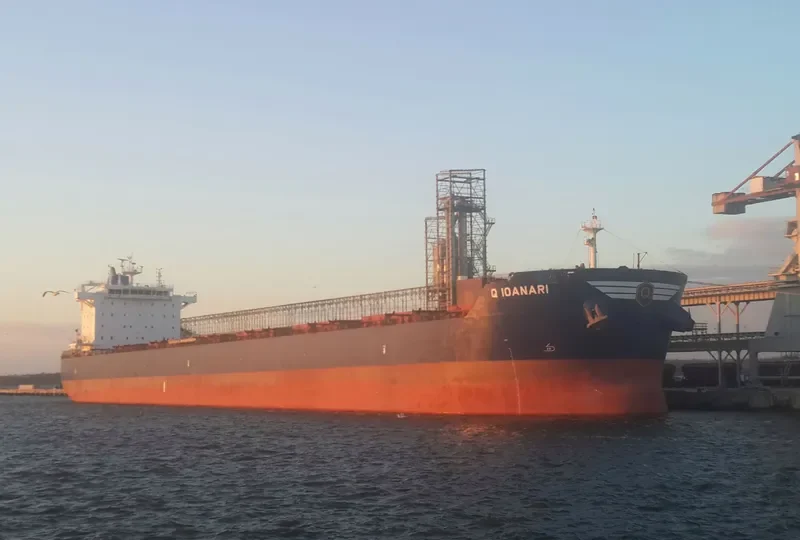GOLDEN IOANARI Bulk Carrier IMO 9586344 photo 2