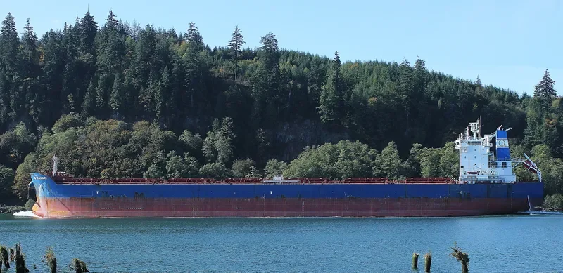 GOLDEN IOANARI Bulk Carrier IMO 9586344 photo 5