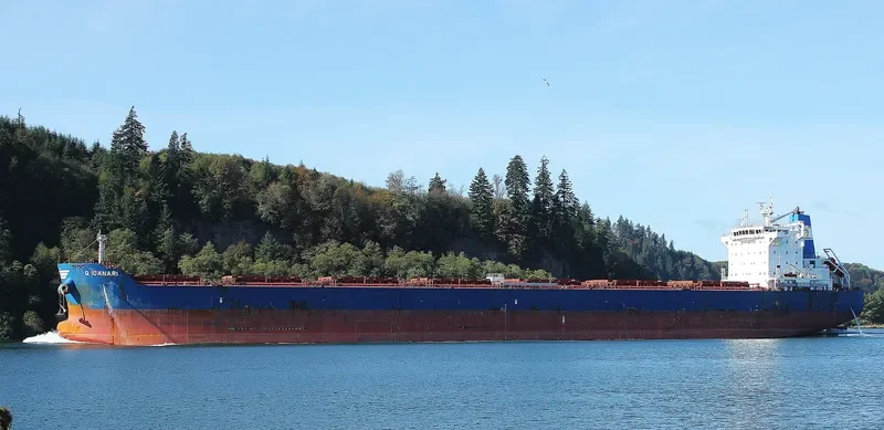 GOLDEN IOANARI Bulk Carrier IMO 9586344 photo 6
