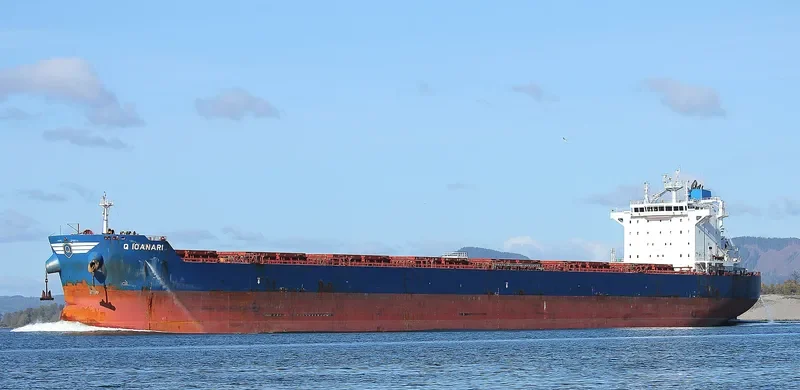GOLDEN IOANARI Bulk Carrier IMO 9586344 photo 7
