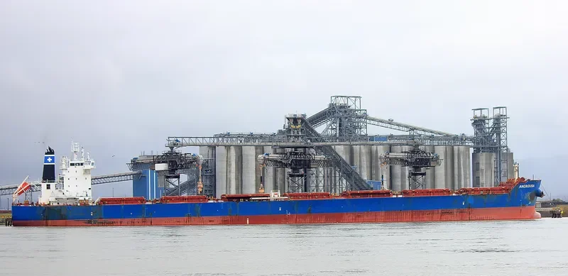ANDROUSA Bulk Carrier IMO 9586356 photo 2