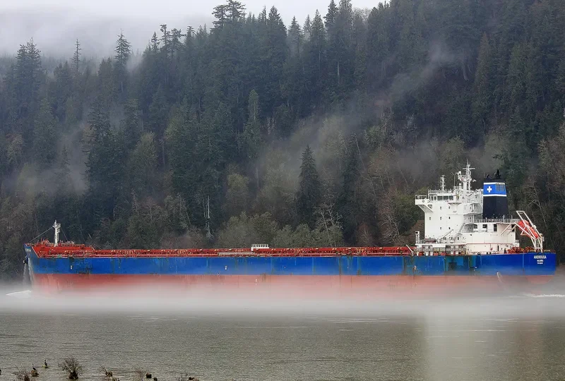 ANDROUSA Bulk Carrier IMO 9586356 photo 3