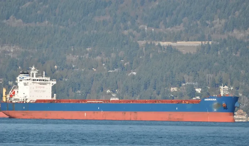 ANDROUSA Bulk Carrier IMO 9586356 photo 8