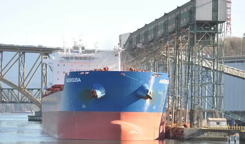 ANDROUSA Bulk Carrier IMO 9586356 photo 9
