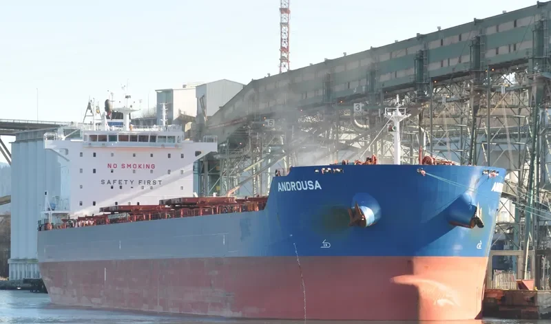 ANDROUSA Bulk Carrier IMO 9586356 photo 10