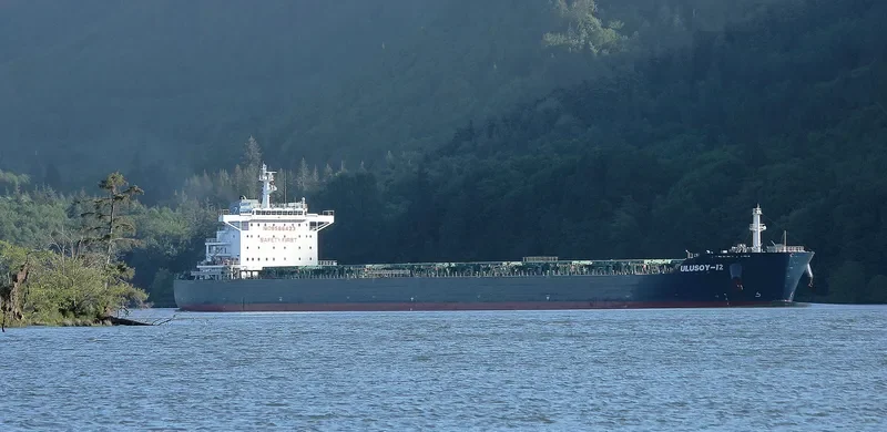 ULUSOY 12 Bulk Carrier IMO 9586423 photo 7