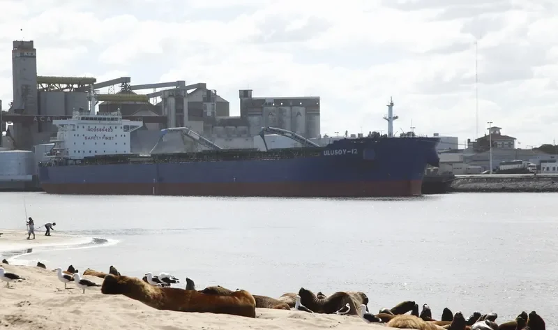 ULUSOY 12 Bulk Carrier IMO 9586423 photo 10