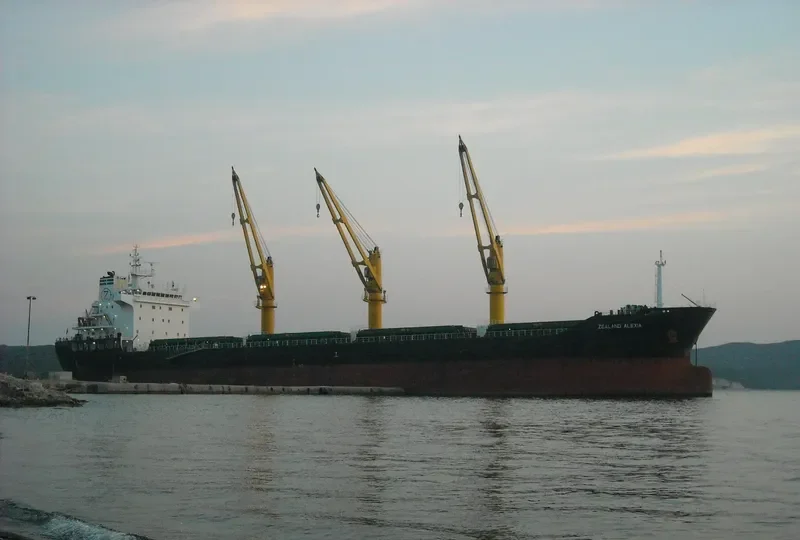 TRANSEUROPE Bulk Carrier IMO 9586588 photo 7