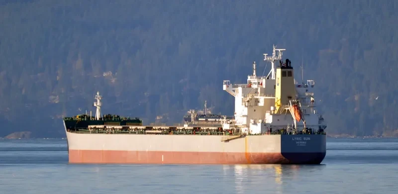 LYRIC SUN Bulk Carrier IMO 9586629 photo 3