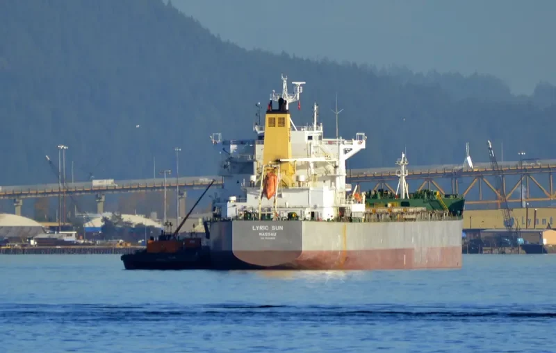LYRIC SUN Bulk Carrier IMO 9586629 photo 4