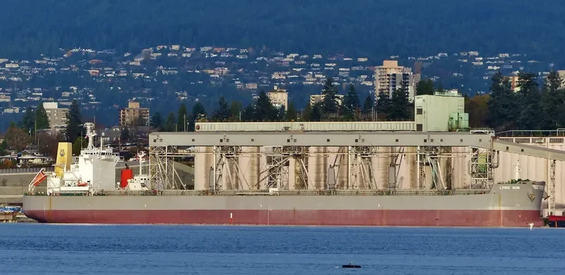 LYRIC SUN Bulk Carrier IMO 9586629 photo 5