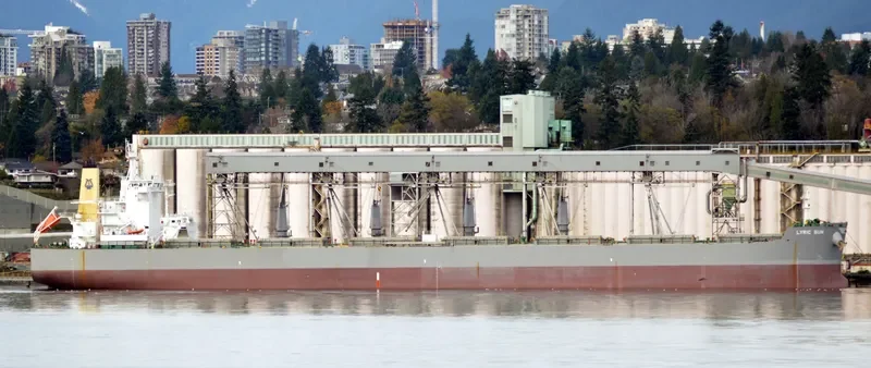 LYRIC SUN Bulk Carrier IMO 9586629 photo 6