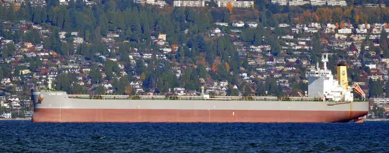 LYRIC SUN Bulk Carrier IMO 9586629 photo 8