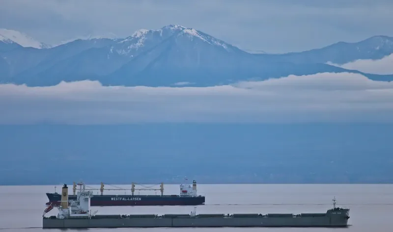 LYRIC SUN Bulk Carrier IMO 9586629 photo 10