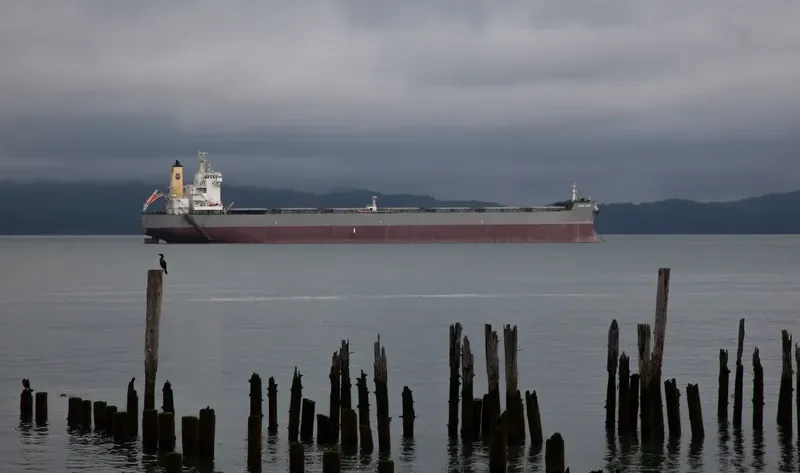 LYRIC STAR Bulk Carrier IMO 9586631 photo 7