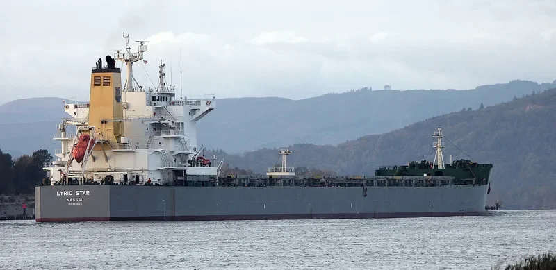 LYRIC STAR Bulk Carrier IMO 9586631 photo 8