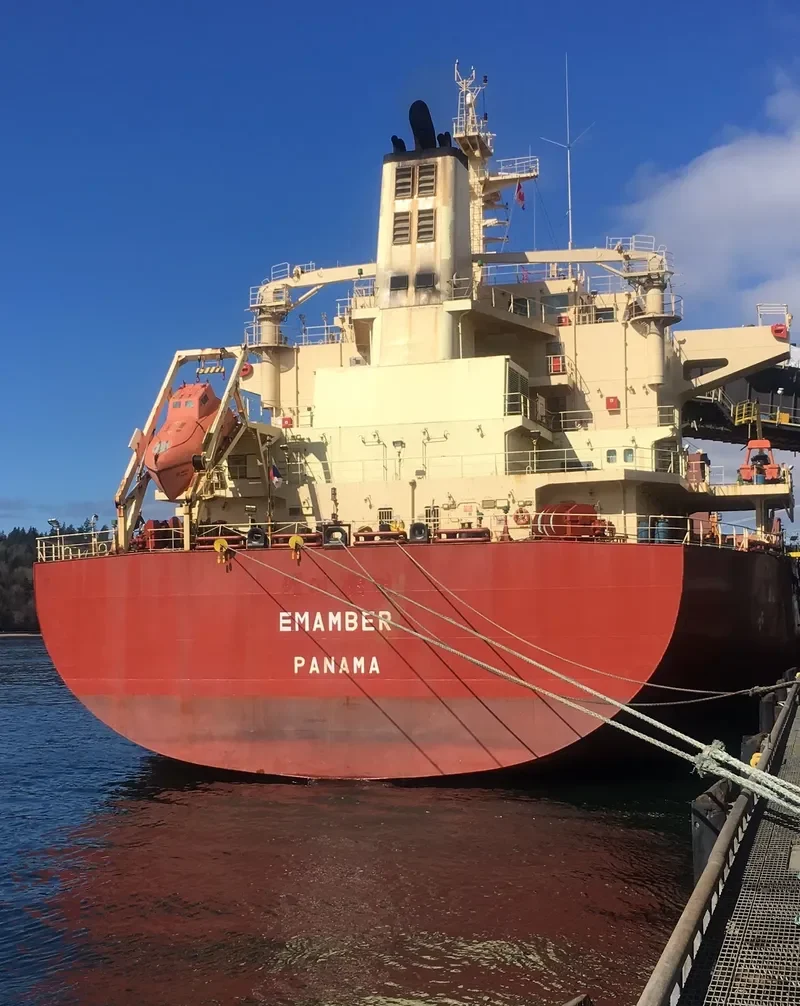 EASTERN BEGONIA Bulk Carrier IMO 9586693