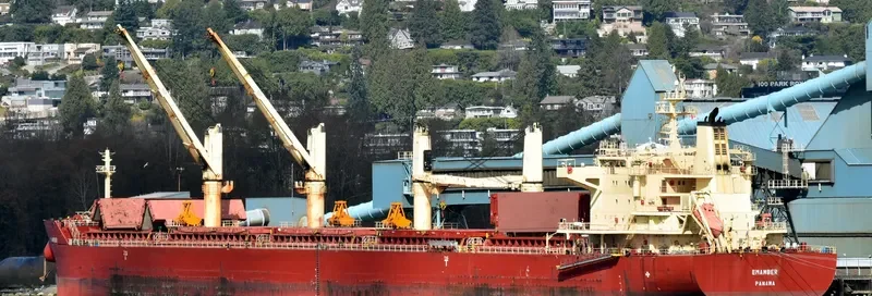 EASTERN BEGONIA Bulk Carrier IMO 9586693 photo 2