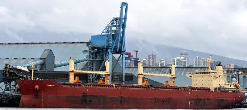 EASTERN BEGONIA Bulk Carrier IMO 9586693 photo 3