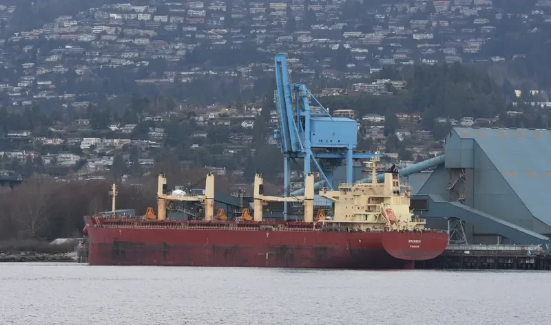 EASTERN BEGONIA Bulk Carrier IMO 9586693 photo 4