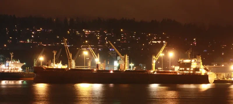 EASTERN BEGONIA Bulk Carrier IMO 9586693 photo 7