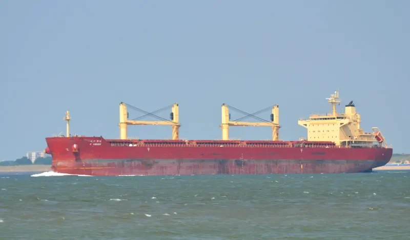 EASTERN BEGONIA Bulk Carrier IMO 9586693 photo 8