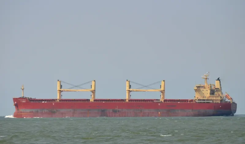 EASTERN BEGONIA Bulk Carrier IMO 9586693 photo 10