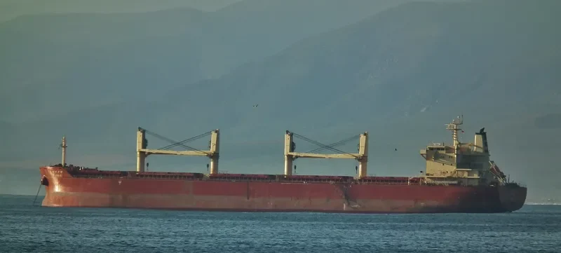 BAO GRAND Bulk Carrier IMO 9586708 photo 2