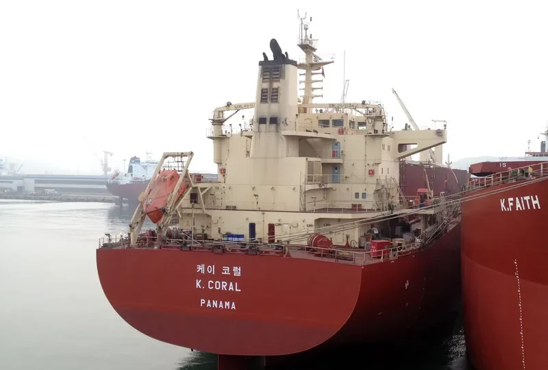 BAO GRAND Bulk Carrier IMO 9586708 photo 5