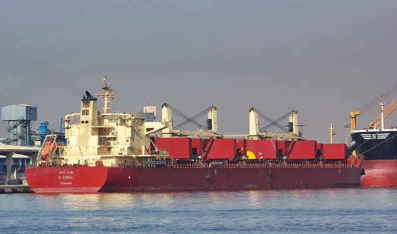 BAO GRAND Bulk Carrier IMO 9586708 photo 10