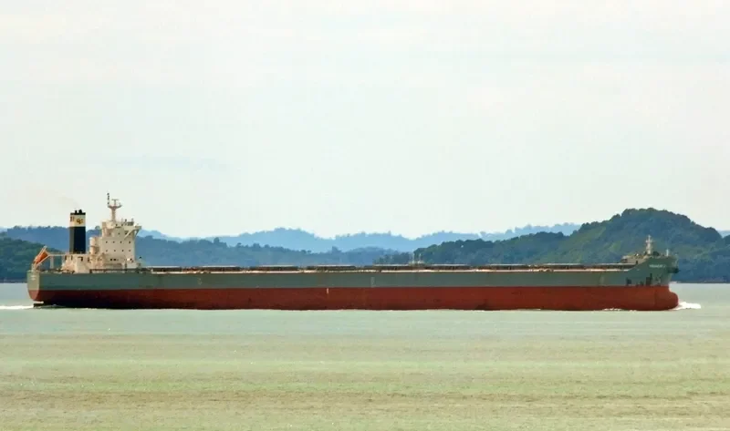LOWLANDS TENACITY Bulk Carrier IMO 9586801 photo 2