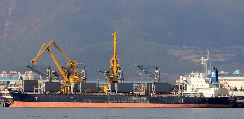 PHOENIX NEREID Bulk Carrier IMO 9586863
