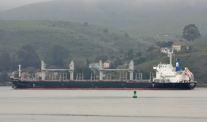 PHOENIX NEREID Bulk Carrier IMO 9586863 photo 8